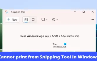 Das Drucken mit dem Snipping-Tool in Windows 11/10 ist nicht möglich