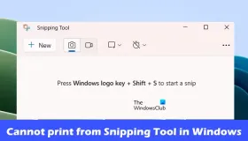 在Windows 11/10中无法从截图工具打印
