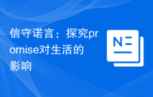 信守诺言：探究promise对生活的影响