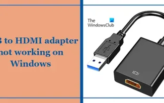 Der USB-zu-HDMI-Adapter funktioniert unter Windows 11/10 nicht richtig