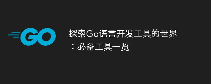 Go 언어 개발 도구의 전체 그림을 살펴보세요: 필수 도구에 대한 자세한 설명