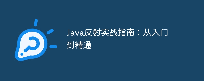 Java Reflection の実践ガイド: 初心者から熟練者まで