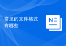 常见的文件格式有哪些