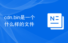 cdn.bin是一个什么样的文件