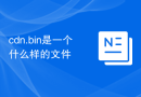 cdn.bin是一个什么样的文件