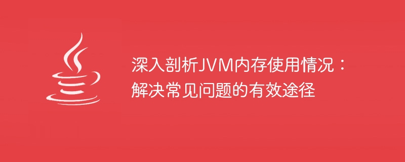 JVM 메모리 사용에 대한 깊은 이해: 일반적인 문제를 효과적으로 해결