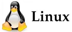 Linux如何杀掉僵尸进程