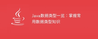 Understand common Java data types: Master data type concepts