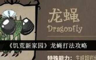 Guide stratégique des libellules 'Don't Starve Home'