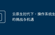云原生时代下，操作系统生态的挑战与机遇