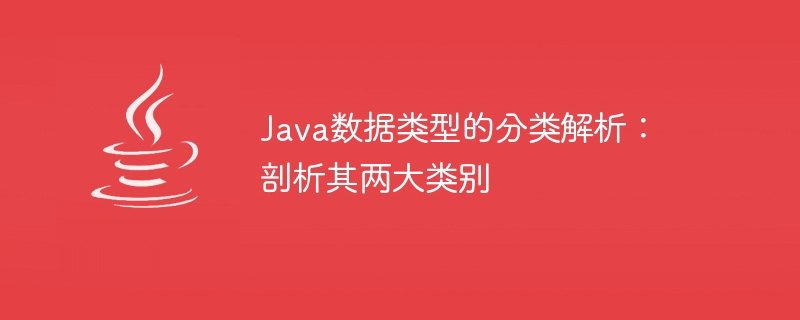 Java データ型の分類の解析: 主要なカテゴリの探索