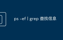 ps -ef | grep 查找信息