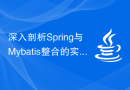 深入剖析Spring与Mybatis整合的实践指南