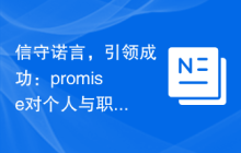信守诺言，引领成功：promise对个人与职业发展的影响