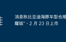 消息称比亚迪海豚车型也推“荣耀版”，2 月 23 日上市