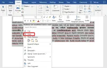 如何在Word中复制页面