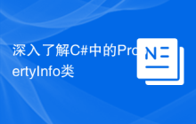 深入了解C#中的PropertyInfo类