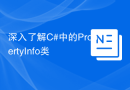 深入了解C#中的PropertyInfo类
