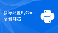 Guide to configuring the PyCharm interpreter