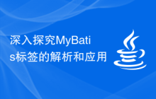 深入探究MyBatis标签的解析和应用