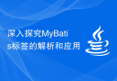 深入探究MyBatis标签的解析和应用