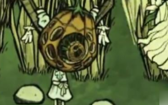 Comment faire pousser des fruits du dragon géants dans la nouvelle patrie de Famine