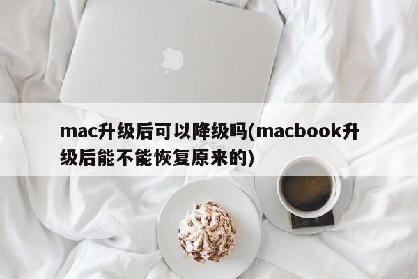 Bolehkah mac diturunkan taraf selepas naik taraf (bolehkah macbook dipulihkan kepada asal selepas naik taraf)