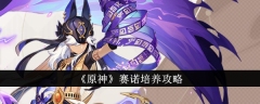 《原神》赛诺培养攻略