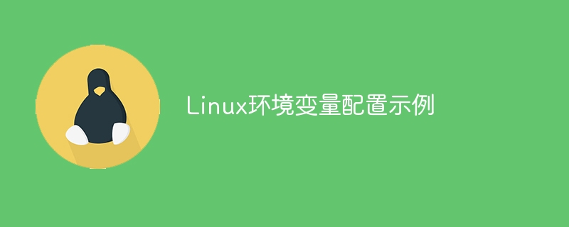 Beispiel für die Konfiguration von Linux-Umgebungsvariablen