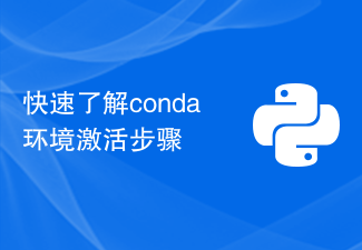 快速了解conda环境激活步骤