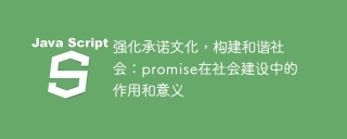 强化承诺文化，构建和谐社会：promise在社会建设中的作用和意义