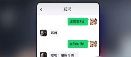 《完蛋我被美女包圍了》DLC夏天攻略