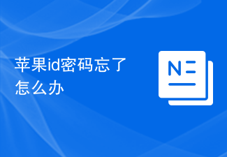 苹果id密码忘了怎么办