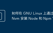 如何在 GNU Linux 上通过 Nvm 安装 Node 和 Npm？