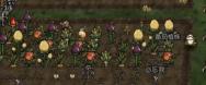 饥荒新家园毒蟾怎么打