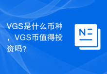 VGS是什么币种，VGS币值得投资吗？