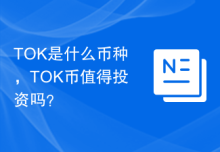 TOK是什么币种，TOK币值得投资吗？