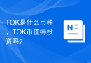 TOK是什么币种，TOK币值得投资吗？
