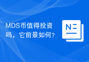 MDS币值得投资吗，它前景如何？