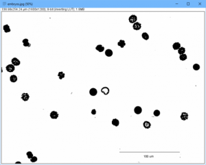 Comment traiter des images scientifiques sous Linux !