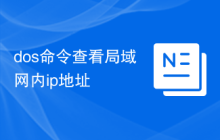 dos命令查看局域网内ip地址