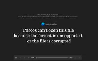 形式がサポートされていないか、ファイルが破損しているため、写真ではこのファイルを開けません