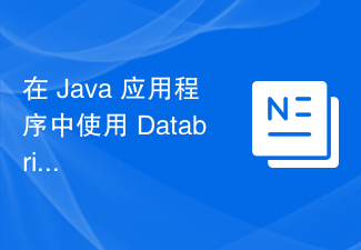 在 Java 应用程序中使用 Databricks 数据库数据的最佳方式是什么？