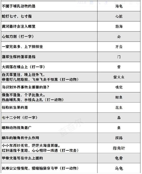 음양사 행복한 등불, 등불, 꽃과 호랑이 등불 수수께끼에 대한 답변 요약