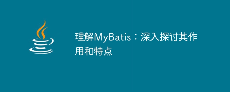 Understanding MyBatis: In-depth exploration of its functions and features