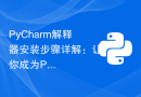 PyCharm解释器安装步骤详解：让你成为Python开发高手