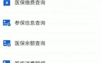 医療保険証の残高確認方法 個人医療保険証の残高確認方法