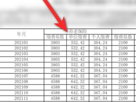 养老保险怎么查 养老保险怎么查询个人账户