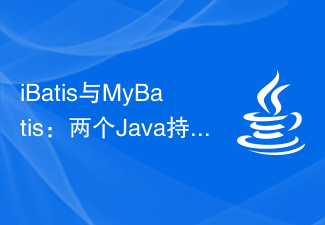 iBatis vs. MyBatis: Comparison and Choice of Two Java Persistence Frameworks