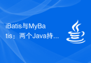 iBatis与MyBatis：两个Java持久化框架的比较与选择